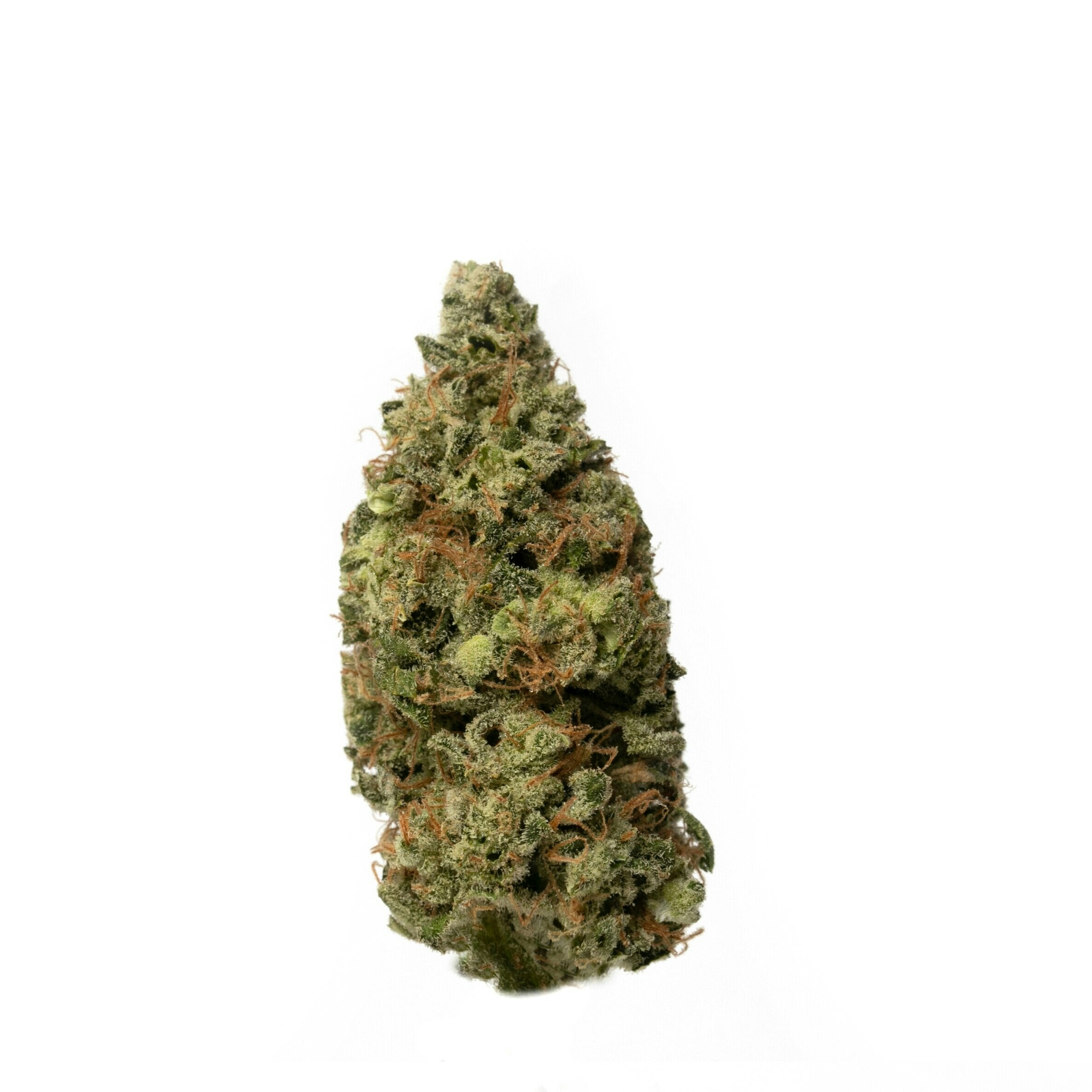 Top 7 Best Orange Strains