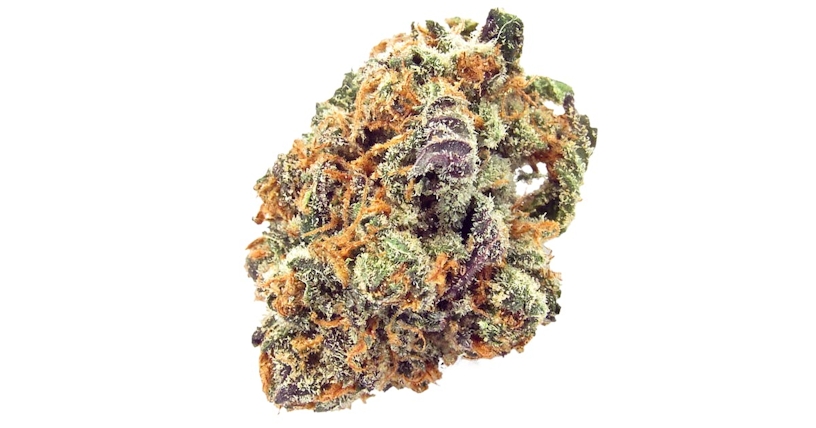 Top 7 Best Orange Strains