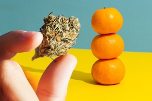 Top 7 Best Orange Strains