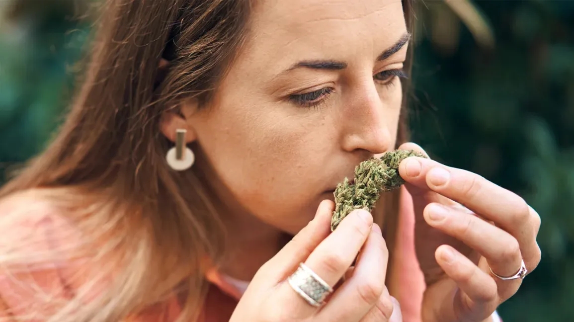 The Complete Blue Weed Strains Guide