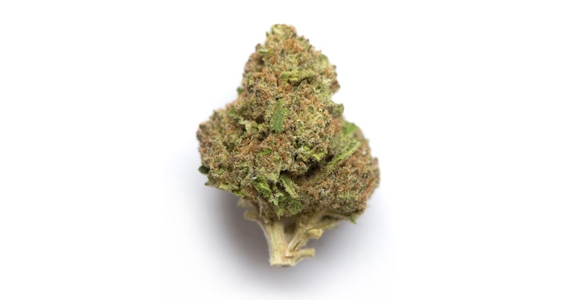 The Complete Blue Weed Strains Guide