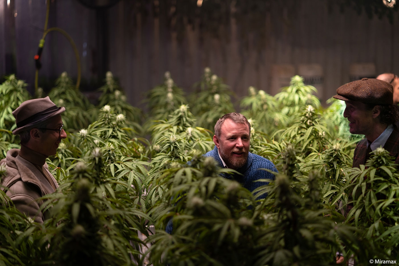 10 Must-See Movies About Growing Weed