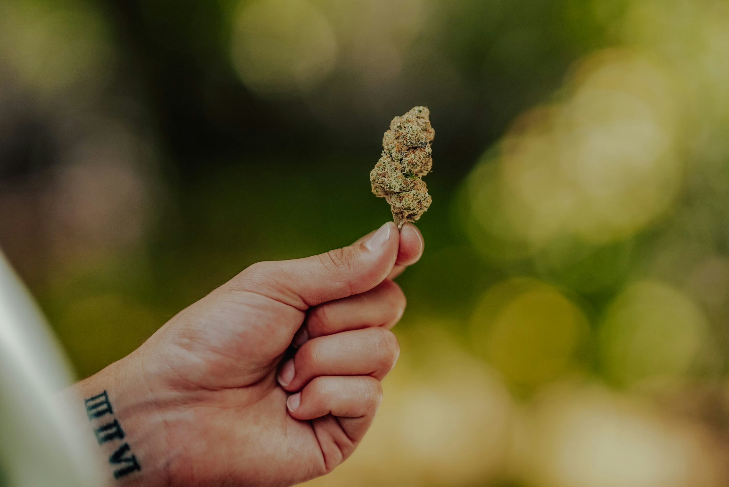 VIIA: Awaken Your Passion With THC Libido Gummies