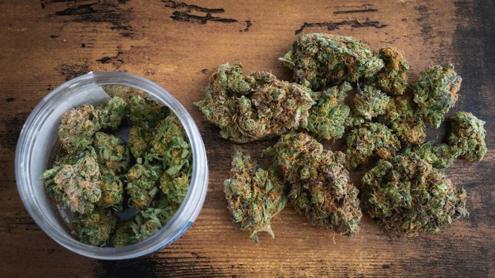 What Is Zaza Weed Strain Information buy-zaza-red-online-700mg-capsules-burmans-health-shop