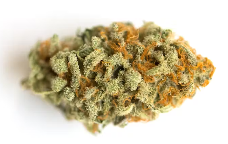 best weed strains for creativity