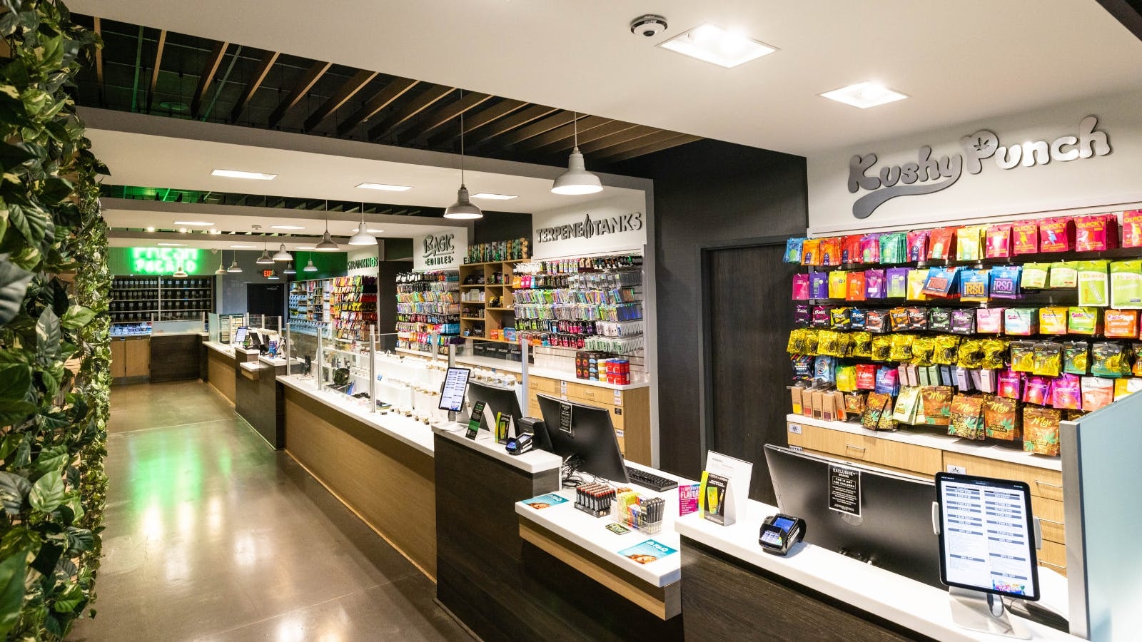The Best Dispensaries In Coldwater, MI
