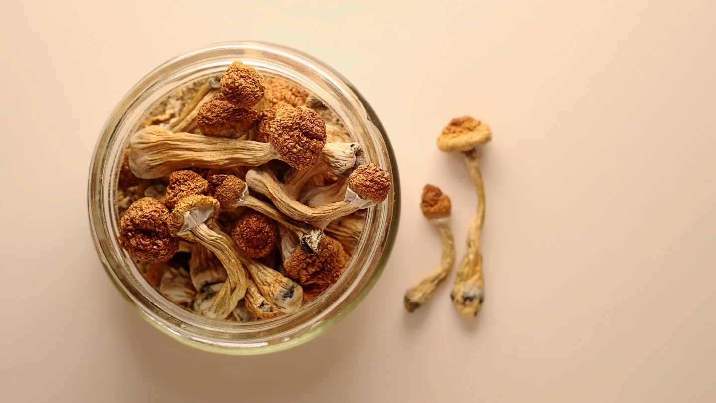 Navigating The Psychedelic Landscape Of Magic Mushrooms: A Guide To Dosing And Safety