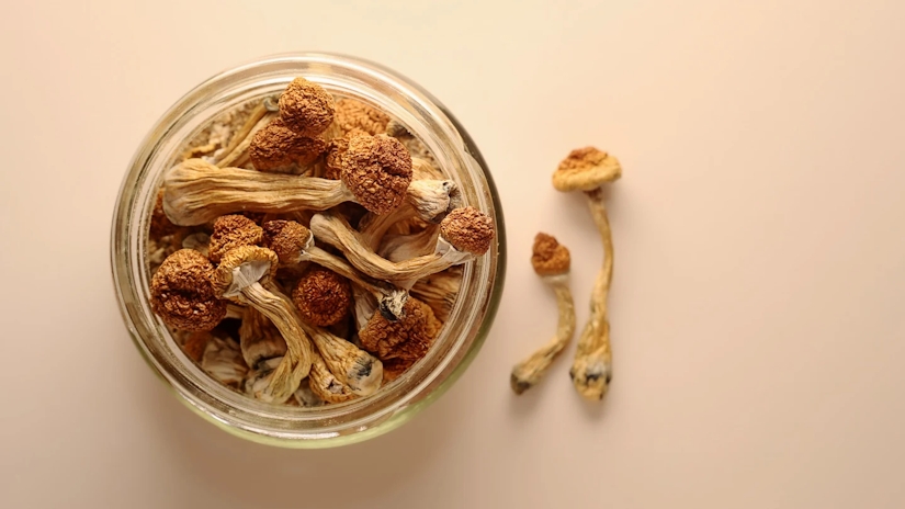 Navigating The Psychedelic Landscape Of Magic Mushrooms: A Guide To Dosing And Safety