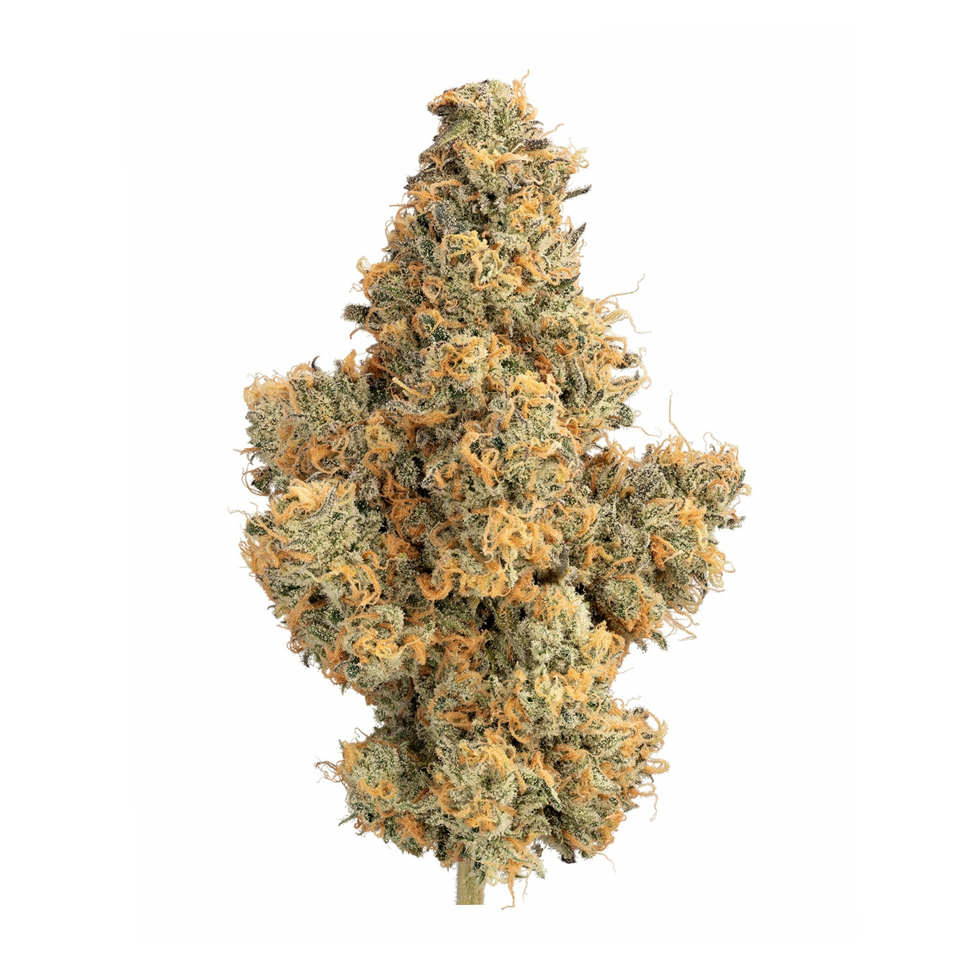 Pinene Terpene: Effects, Potential Benefits, And Best Uses