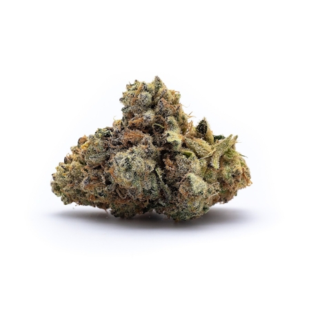 The Top 5 THCA Flower Strains