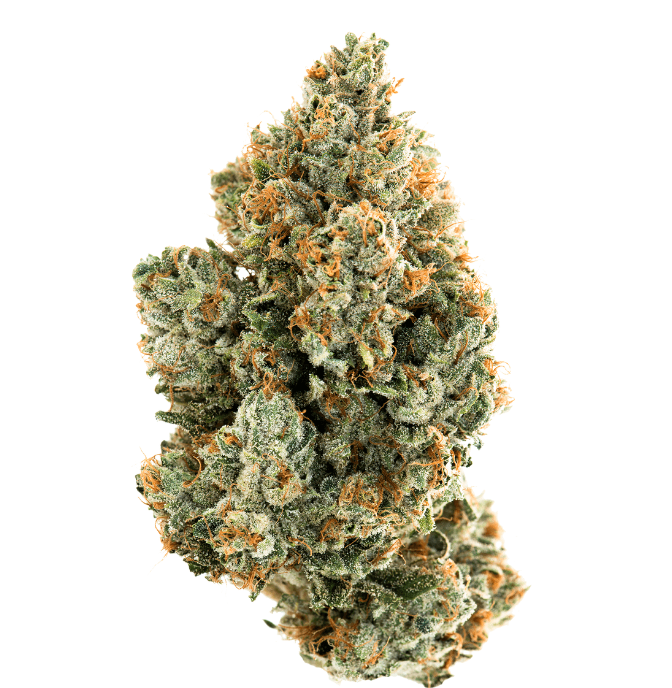 The Top 5 THCA Flower Strains