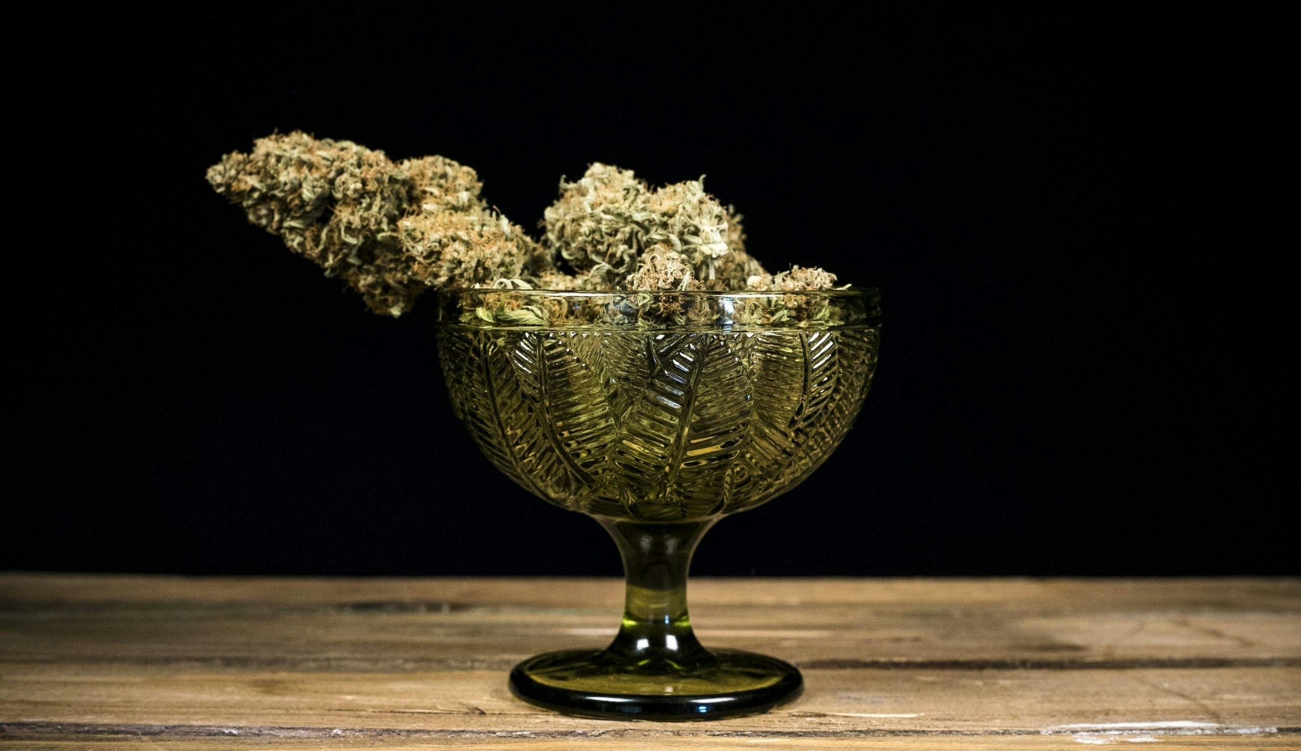 Gelato cannabis flower displaying rich coloration and trichome coverage