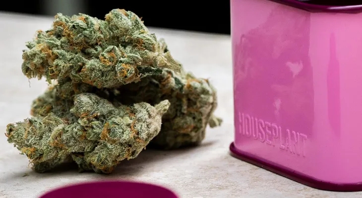 Holidays With Houseplant: Curated Strains & Home Goods For That Special Stoner