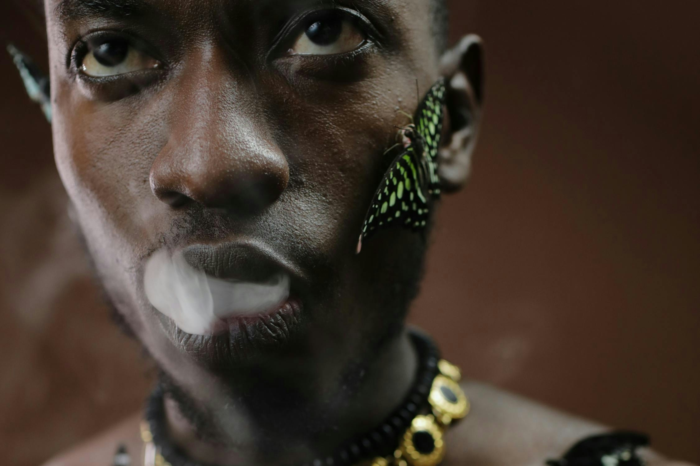 Herb’s Holiday Guide 2023