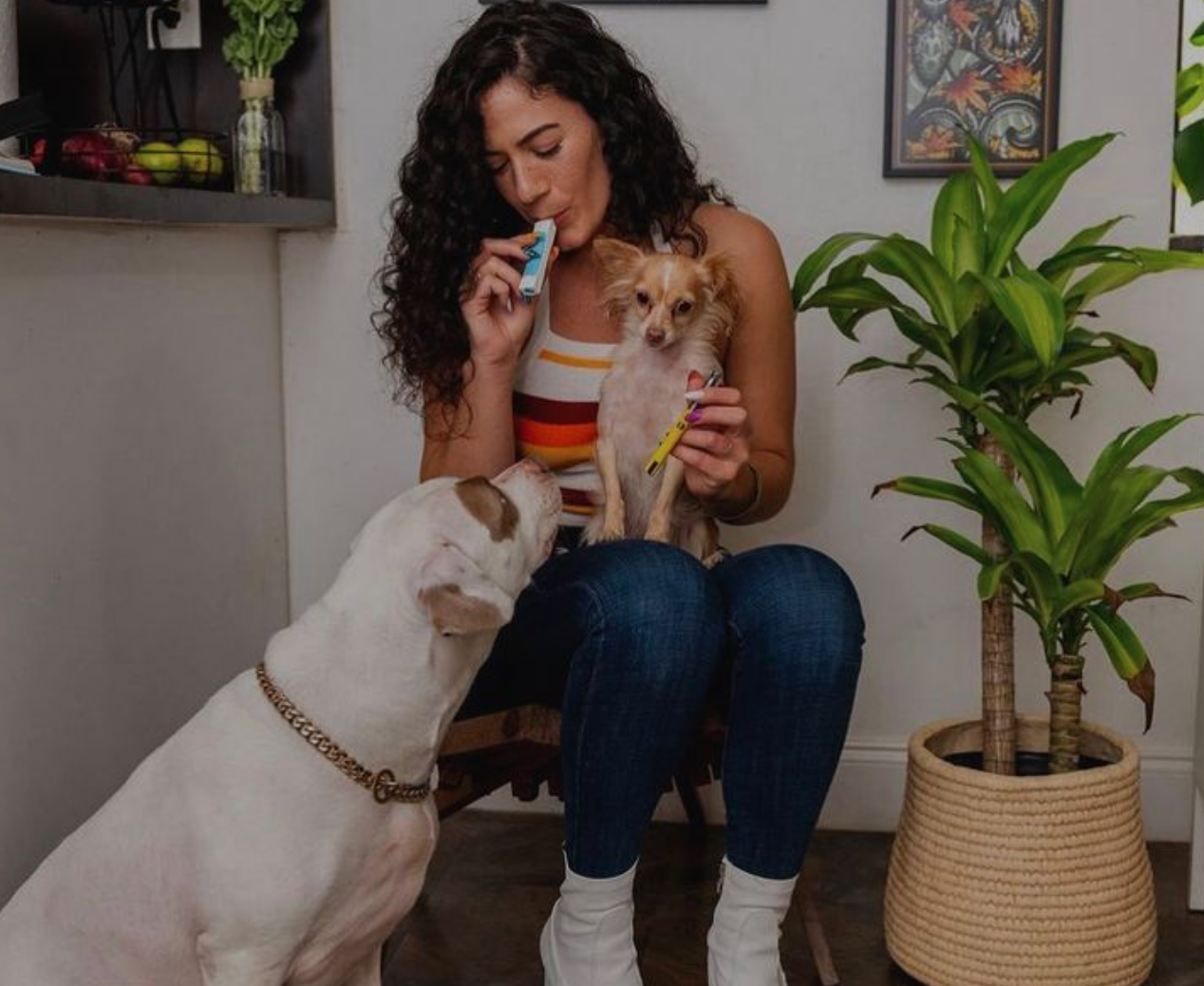 A Smoke & Vapor Free Holiday With Philter Labs