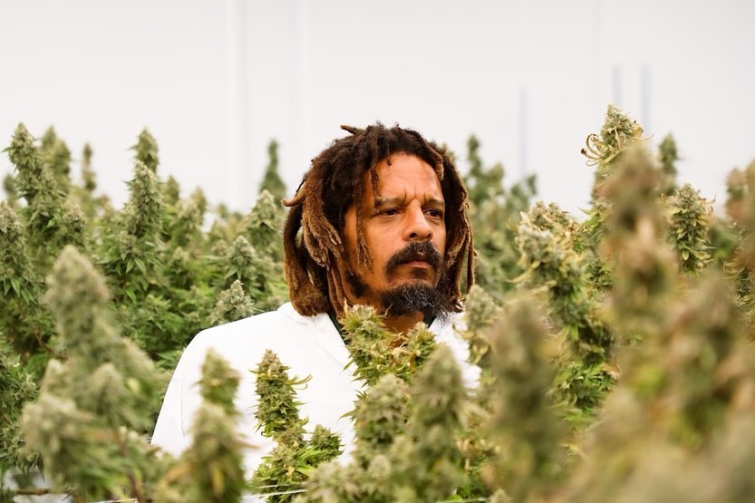 10 Pro Athletes That Love Weed As Much As You