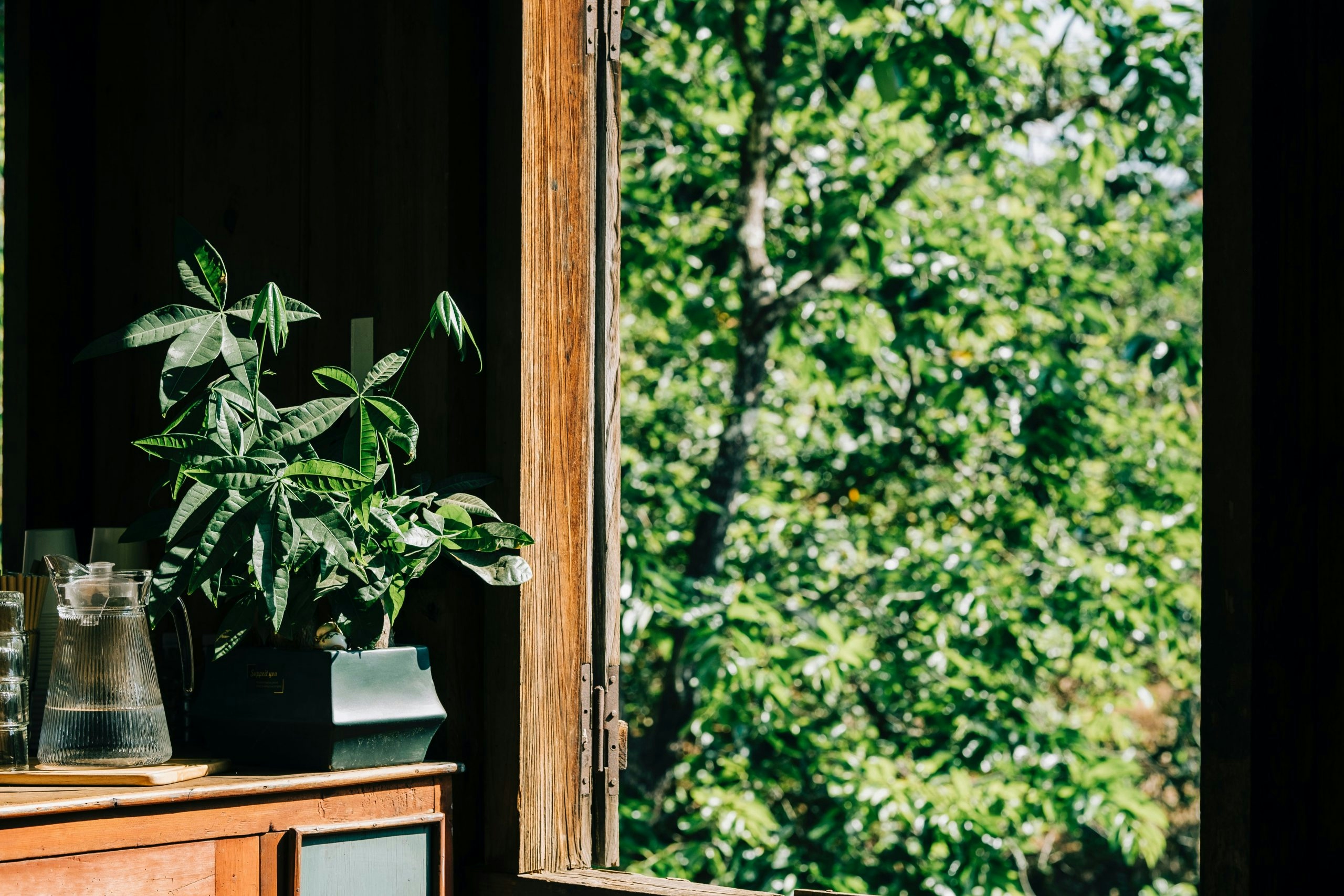 5 Nerolidol Terpene Effects That Will Blow Your Mind