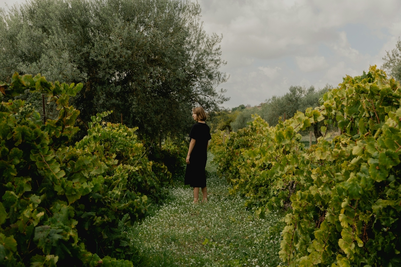 5 Bisabolol Terpene Effects You Will Love To Try