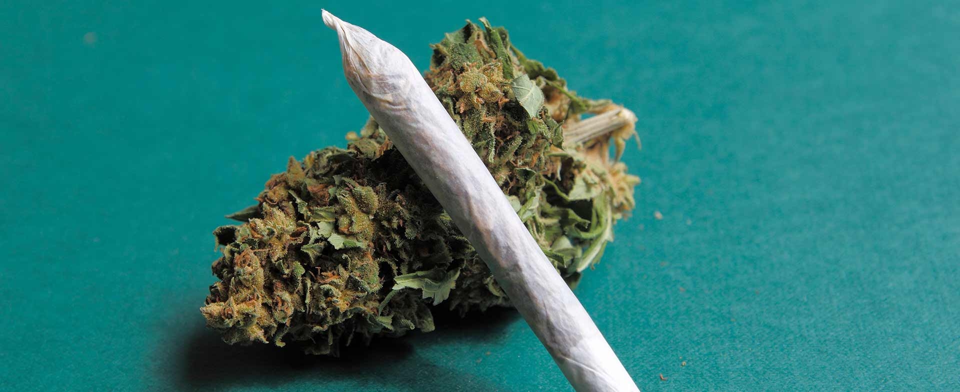 Therapeutic Potentials Of Cannabis In Modern Medicine