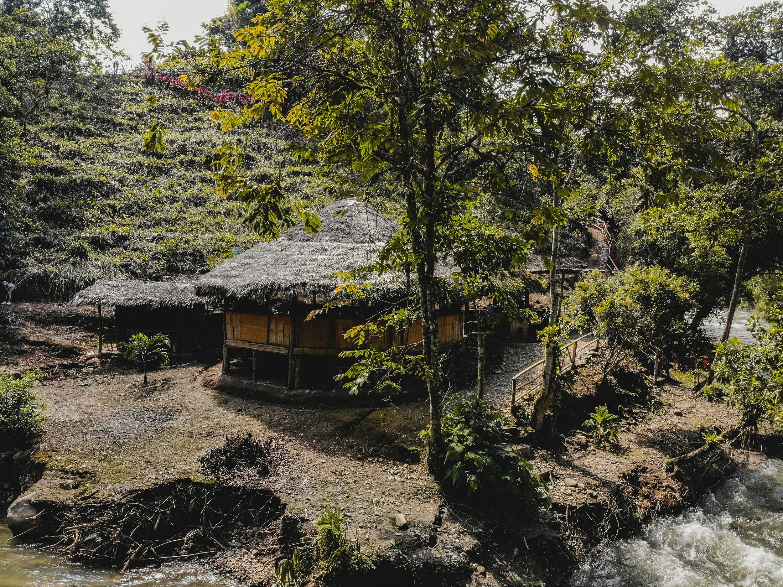 The Ultimate Guide To Choosing Your Ayahuasca Retreat