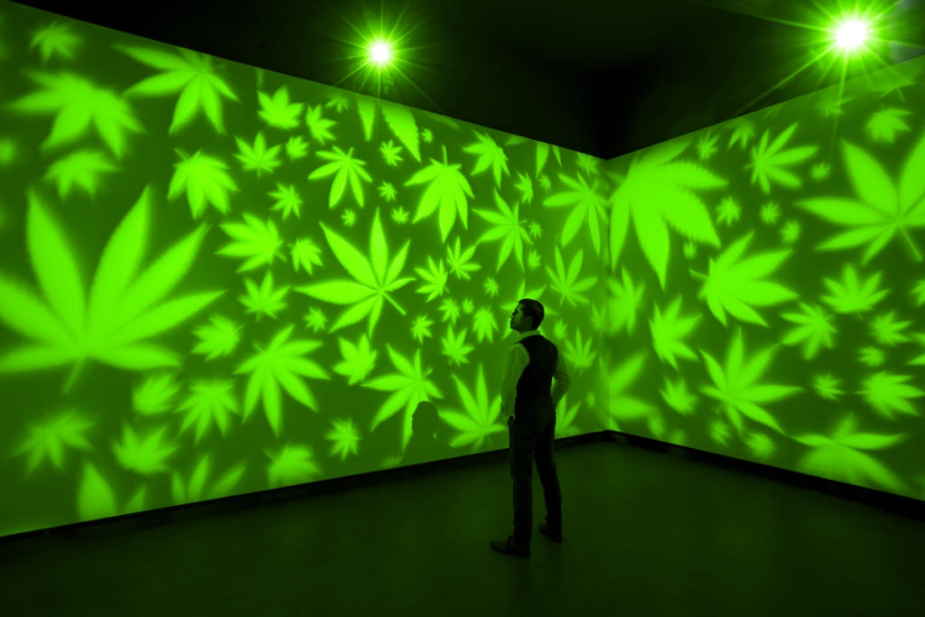 How Cannabis Influences Art, Music, Fashion, And Film
