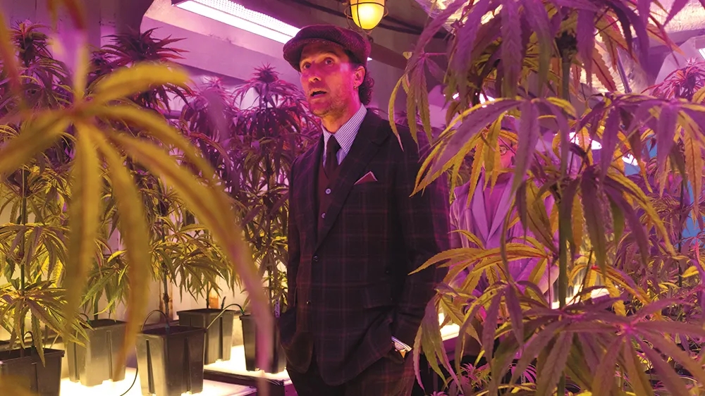 How Cannabis Influences Art, Music, Fashion, And Film