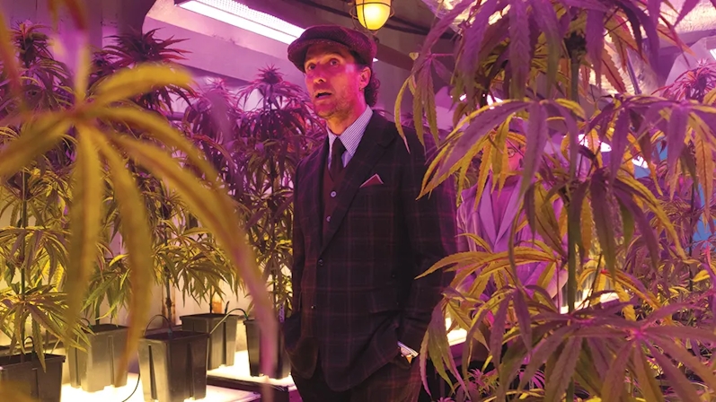 How Cannabis Influences Art, Music, Fashion, And Film