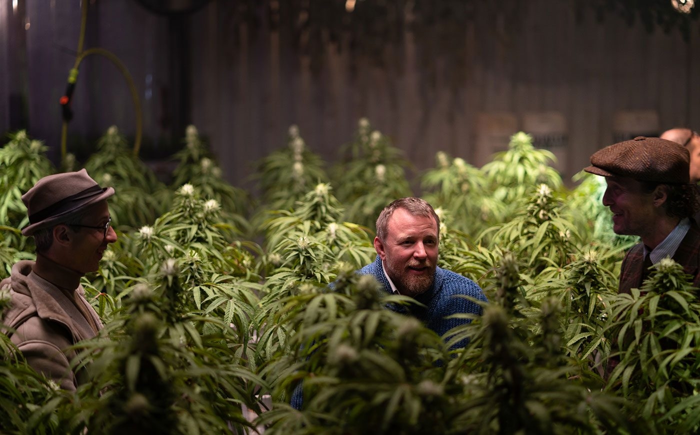 Cannabis In The Creative Mind: Tracing Its Influence Across Art, Music, And Thought