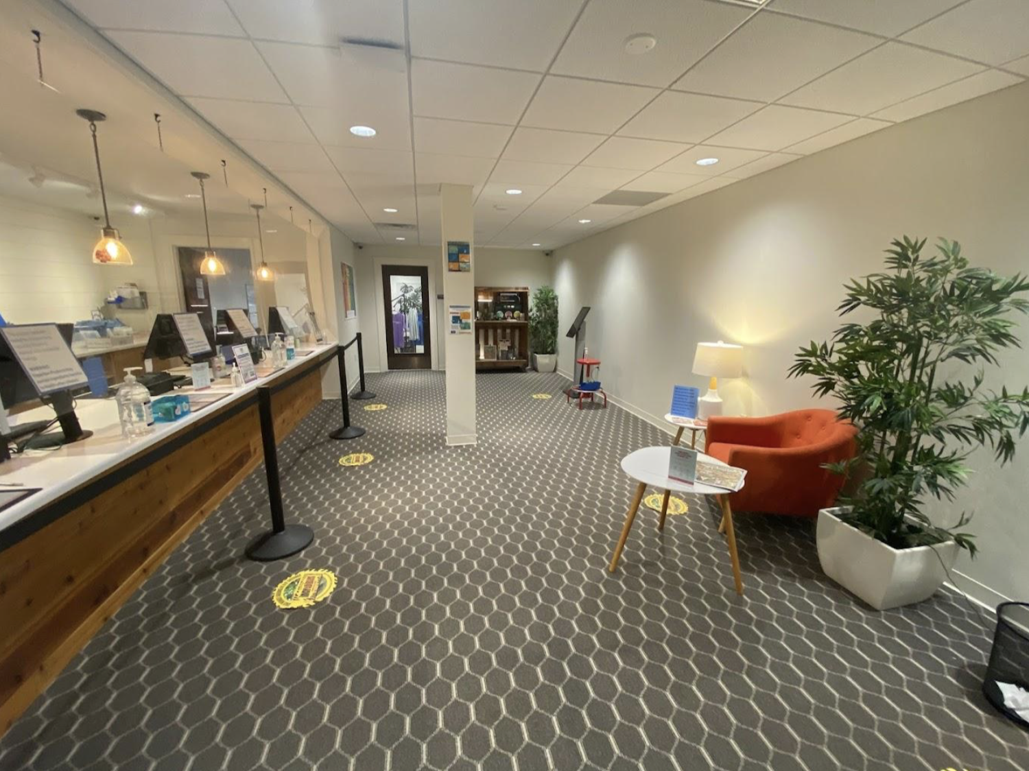 Best Dispensaries In Oxford, MA