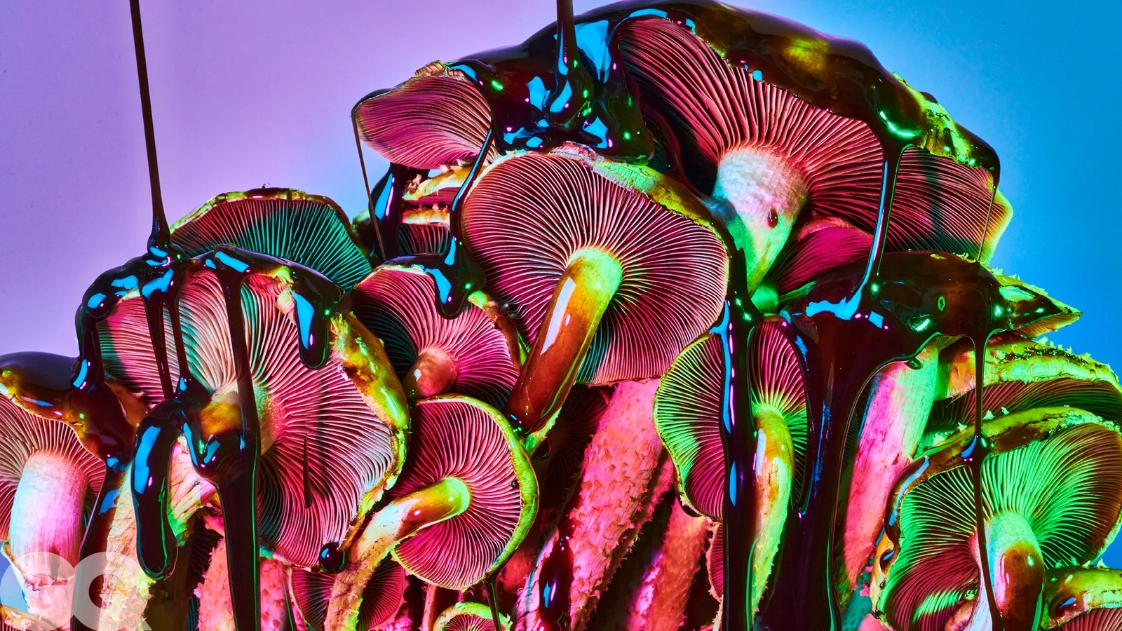 What Do Magic Mushrooms Do To The Brain?