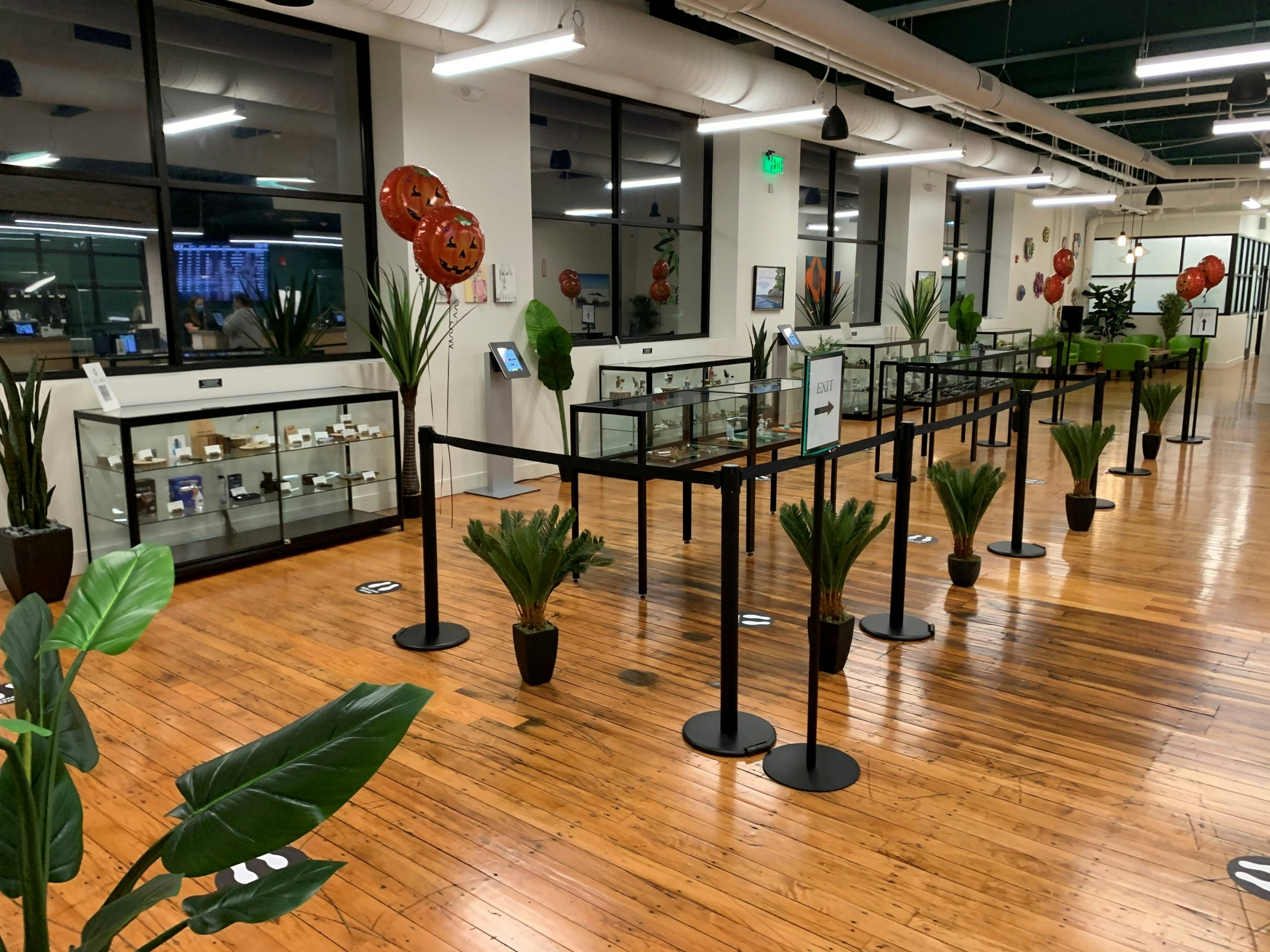 Best Dispensaries In Dracut, MA