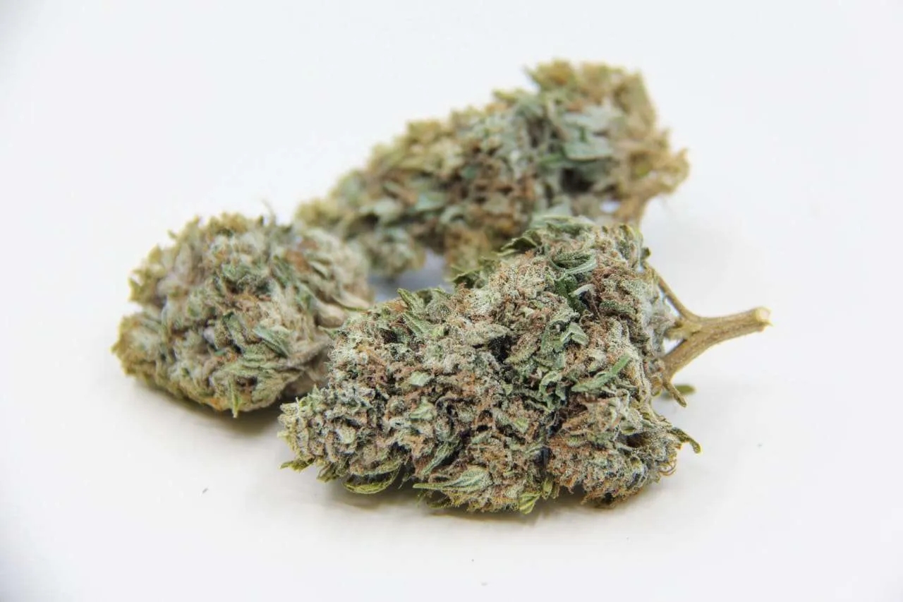CBG Strains: The 7 Best CBG Flowers To Buy In 2025