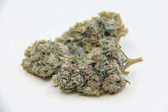 CBG Strains: The 7 Best CBG Flowers To Buy In 2025