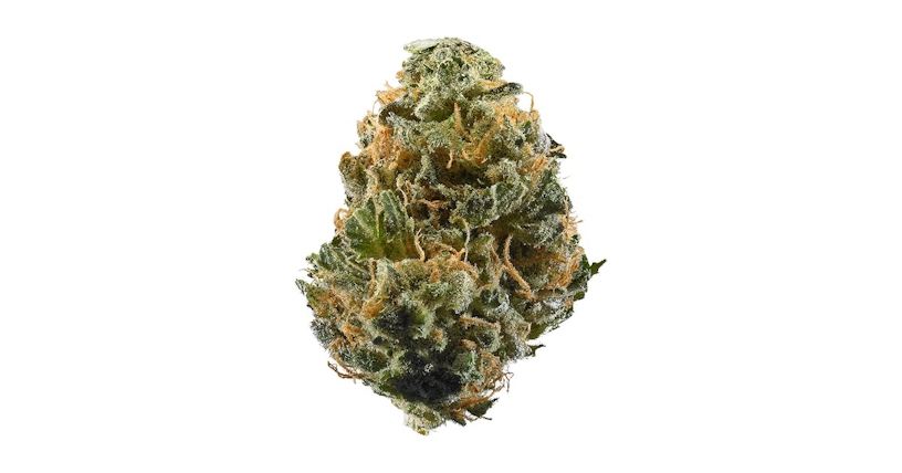 CBG Strains: The 7 Best CBG Flowers To Buy In 2025