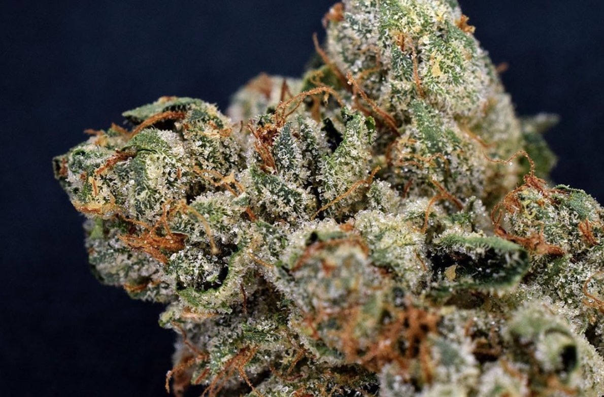 Why The Kobe Strain Is Highly Regarded Among Cannabis Enthusiasts