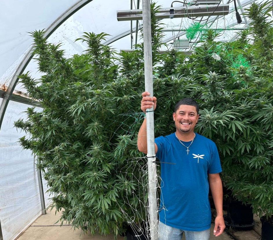 Epic Strains To Grow In 2025