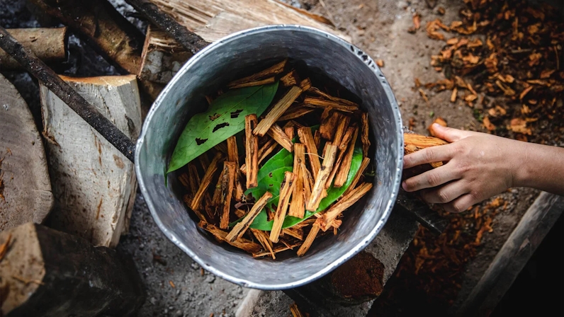 Beyond The Stigma: The Healing Potential Of Psychedelics