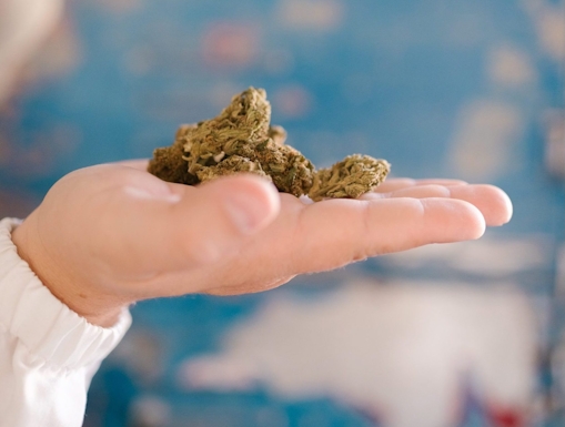 must try strains