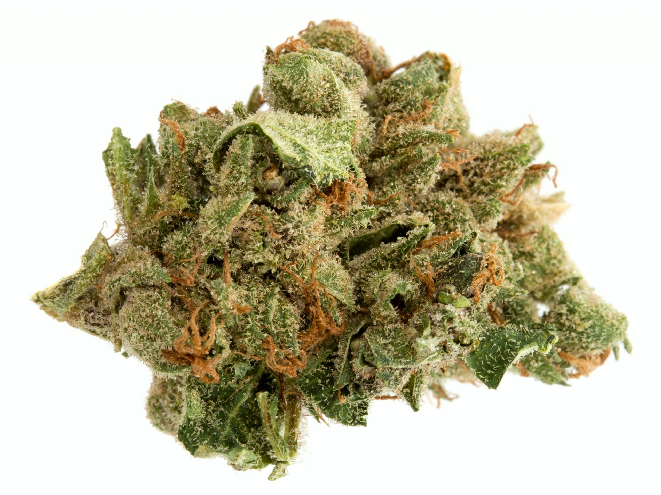 10 Must Try Cannabis Strains In 2025