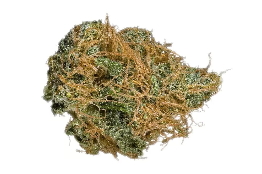 10 Must Try Cannabis Strains In 2025