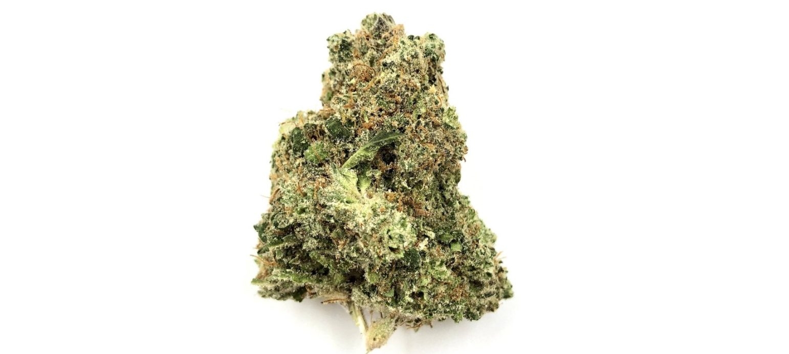 10 Must Try Cannabis Strains In 2025