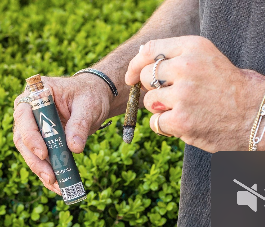 Herbworthy: The Magic Of THCa With Serene Tree