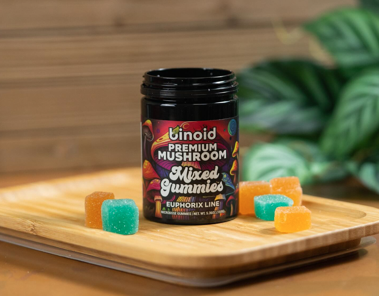 Muscimol: The Mushroom Growing In Popularity Around The Globe