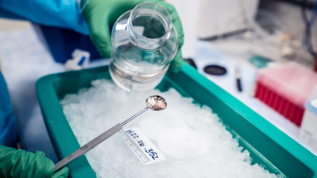 What’s The Difference Between Natural Vs. Synthetic Psychedelics?