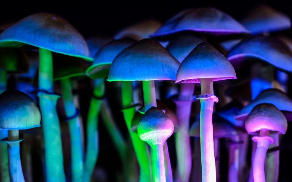 What’s The Difference Between Natural Vs. Synthetic Psychedelics?