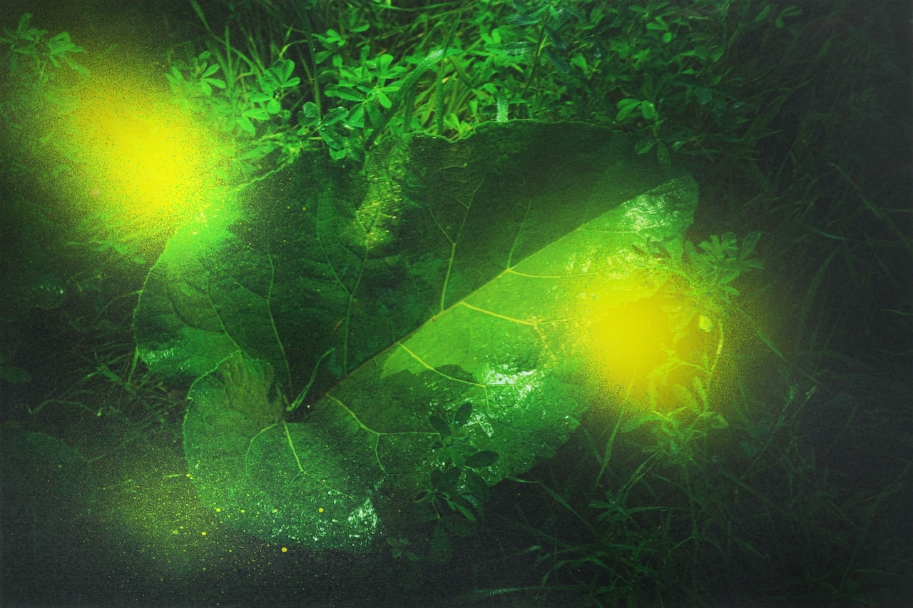 What is Hallucinogen Persisting Perception Disorder (HPPD)?