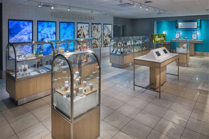 Best Dispensaries In Jacksonville, FL