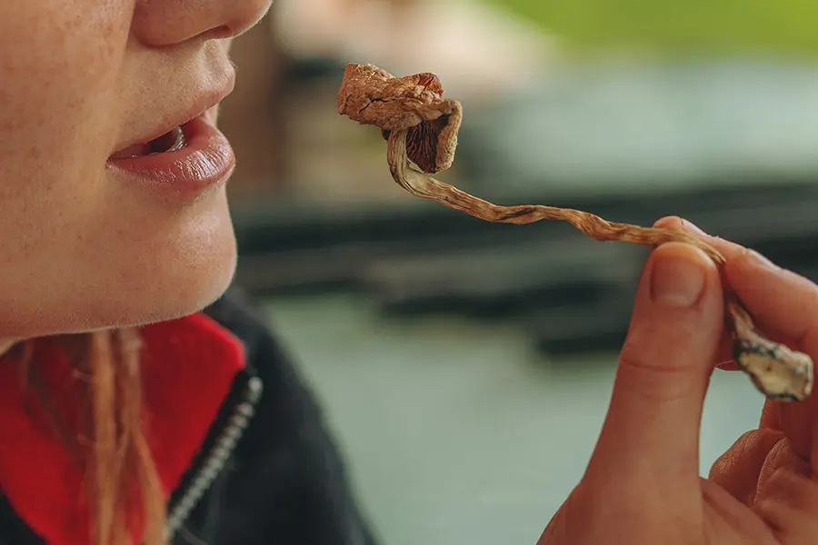 What Are The Best Ways To Take Shrooms?