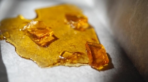 5 Best Cannabis Extraction Methods: How To Extract THC In 2024