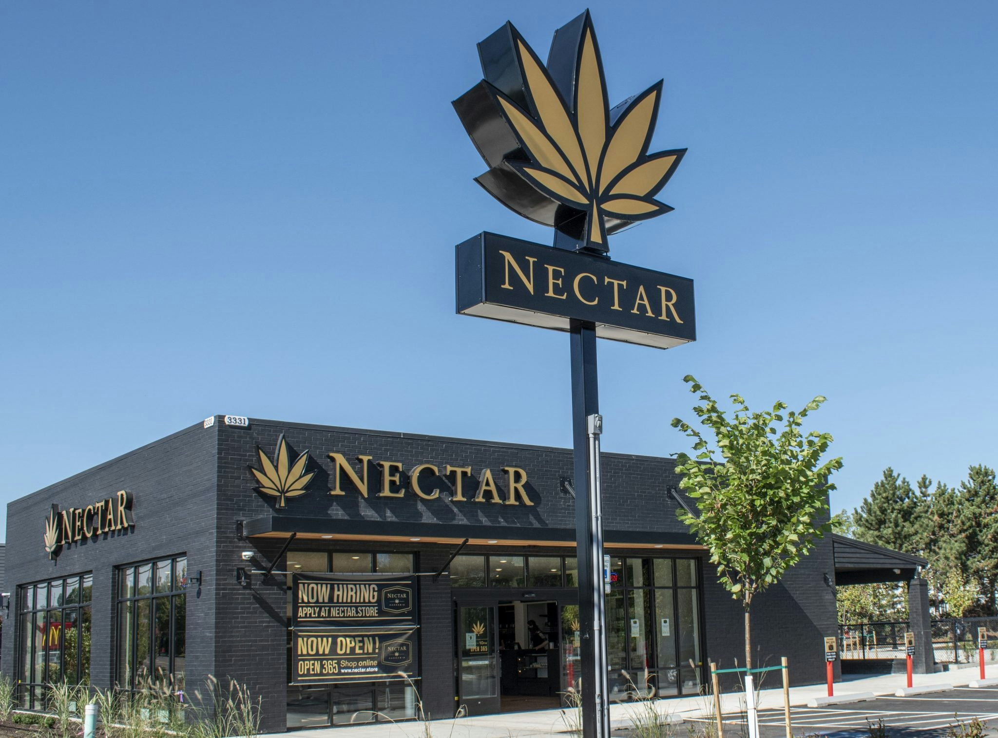 Best Dispensaries In Forest Grove, OR